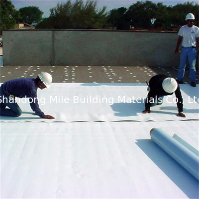 TPO Sheet Waterproofing Membrane With ASTM Standard Type P1.5mm Roof Tpo Waterproofing Membrane